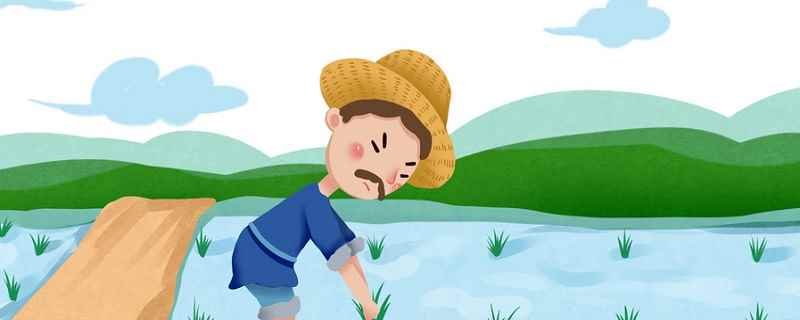 徐光启的农学着作是什么