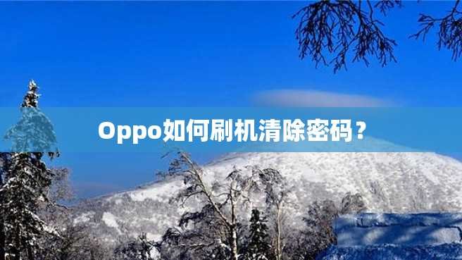 Oppo如何刷机清除密码？